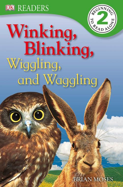 Cover of the book DK Readers L2: Winking, Blinking, Wiggling & Waggling by Brian Moses, DK Publishing