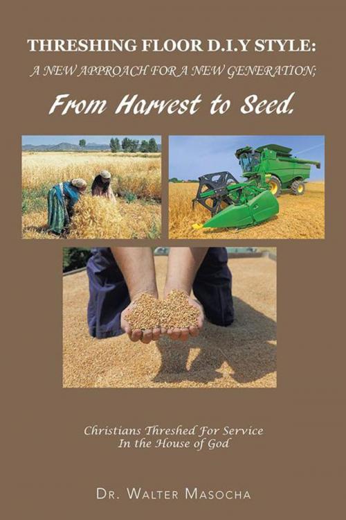 Cover of the book Threshing Floor D.I.Y Style: a New Approach for a New Generation; from Harvest to Seed by DR WALTER MASOCHA, Trafford Publishing