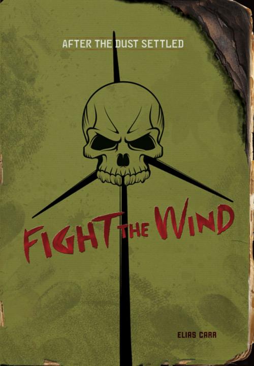 Cover of the book Fight the Wind by Andrew Karre, Lerner Publishing Group