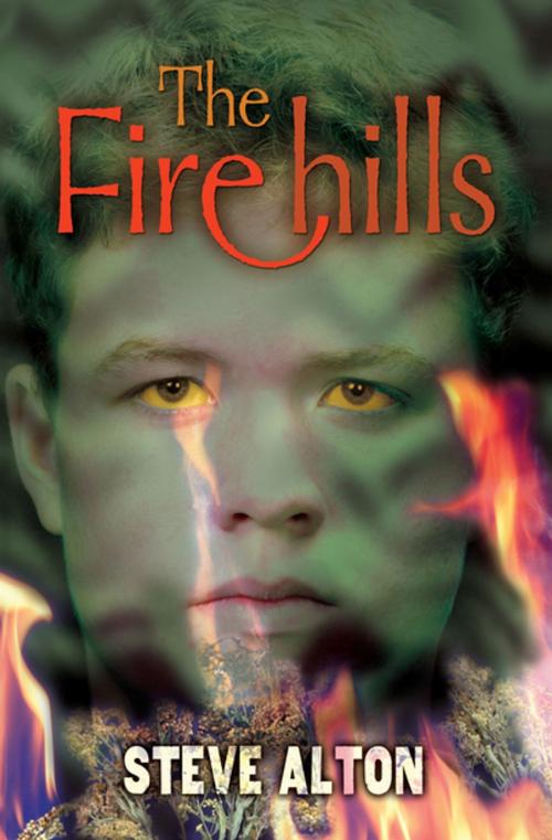 Cover of the book The Firehills by Steve Alton, Lerner Publishing Group