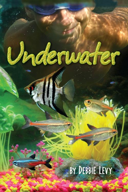 Cover of the book Underwater by Debbie Levy, Lerner Publishing Group