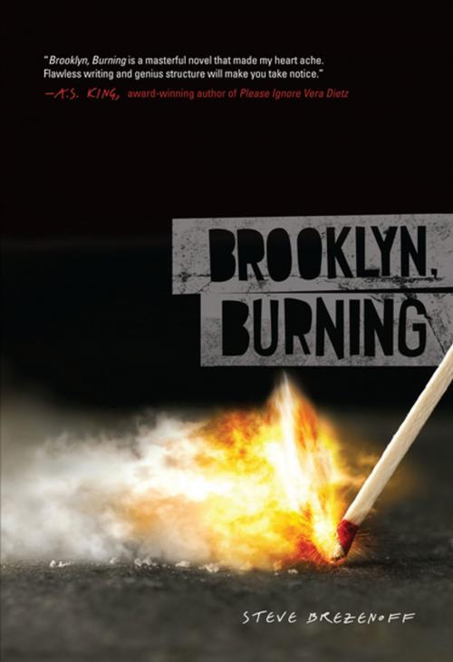 Cover of the book Brooklyn, Burning by Steve Brezenoff, Lerner Publishing Group