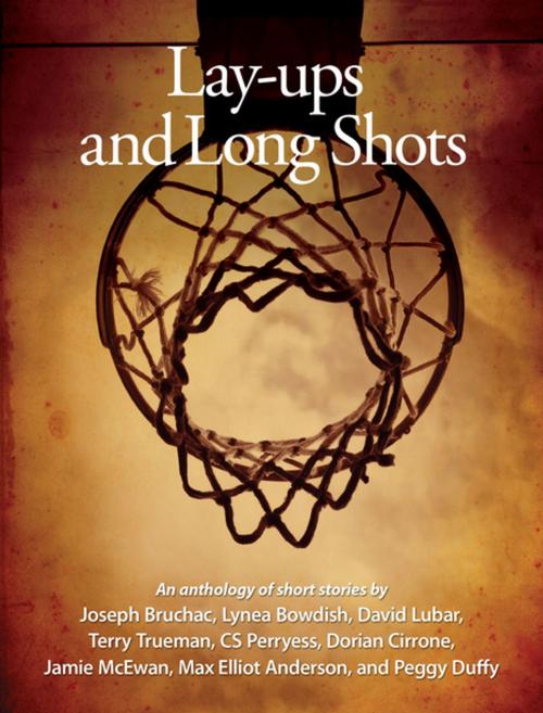 Cover of the book Lay-ups and Long Shots by David Lubar, Terry Trueman, Joseph Bruchac, Lerner Publishing Group