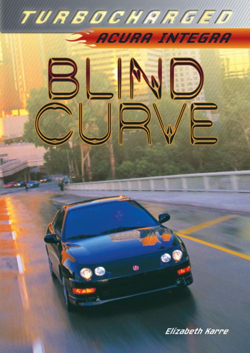 Cover of the book Blind Curve by Elizabeth Karre, Lerner Publishing Group