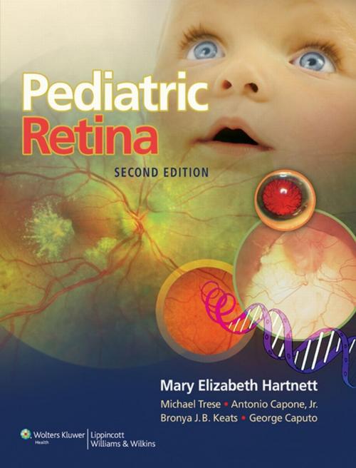 Cover of the book Pediatric Retina by Mary Elizabeth Hartnett, Wolters Kluwer Health