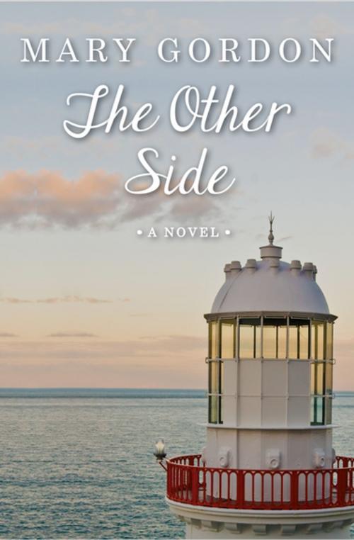 Cover of the book The Other Side by Mary Gordon, Open Road Media