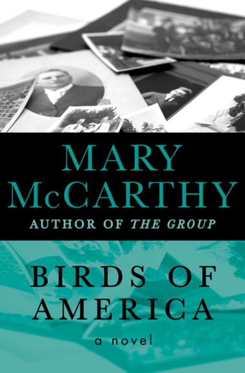 Cover of the book Birds of America by Mary McCarthy, Open Road Media