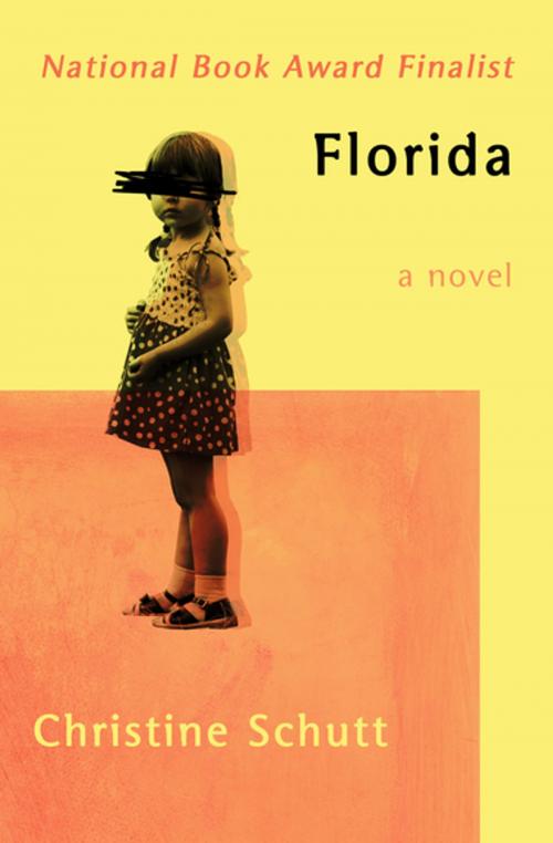 Cover of the book Florida by Christine Schutt, Open Road Media
