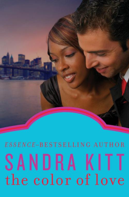 Cover of the book The Color of Love by Sandra Kitt, Open Road Media