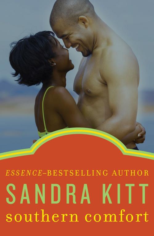Cover of the book Southern Comfort by Sandra Kitt, Open Road Media