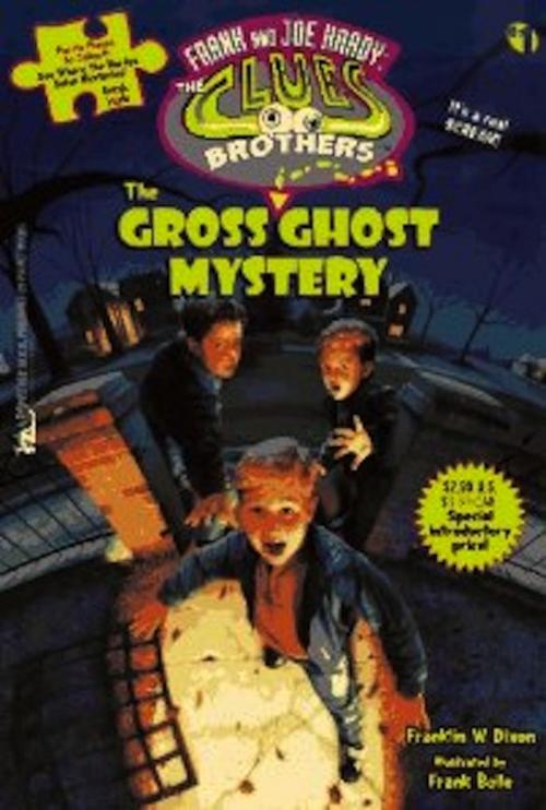 Cover of the book The Gross Ghost Mystery by Franklin W. Dixon, Aladdin