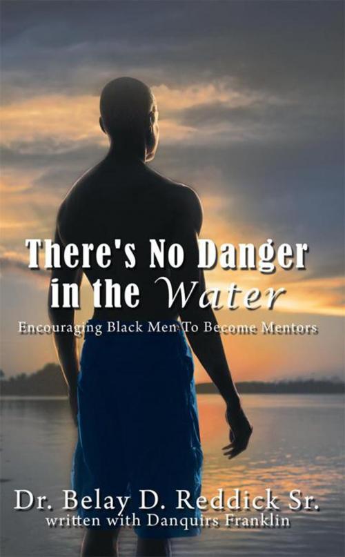 Cover of the book There's No Danger in the Water by Dr. Belay D. Reddick, Sr., Danquirs Franklin, AuthorHouse