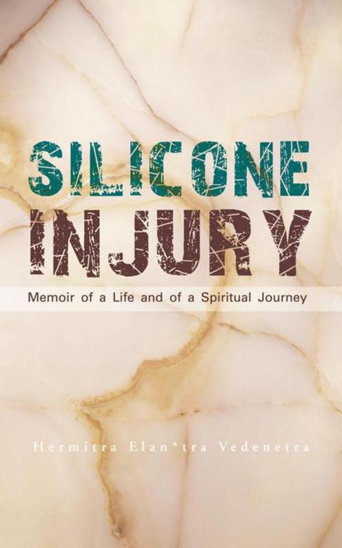 Cover of the book Silicone Injury by Hemitra Elan*tra Vedenetra, AuthorHouse