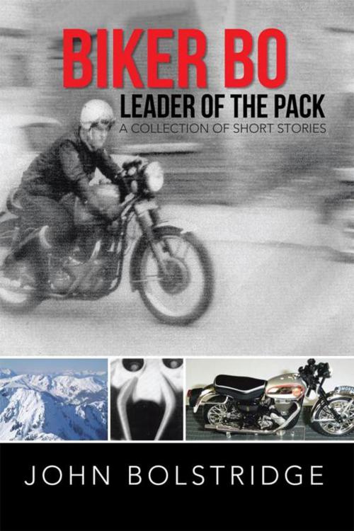 Cover of the book Biker Bo Leader of the Pack by John Bolstridge, AuthorHouse UK