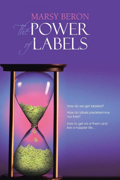 Cover of the book The Power of Labels by Marsy Beron, AuthorHouse UK