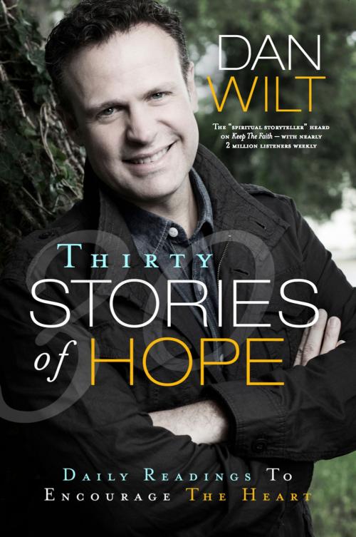 Cover of the book Thirty Stories Of Hope by Dan Wilt, BookBaby