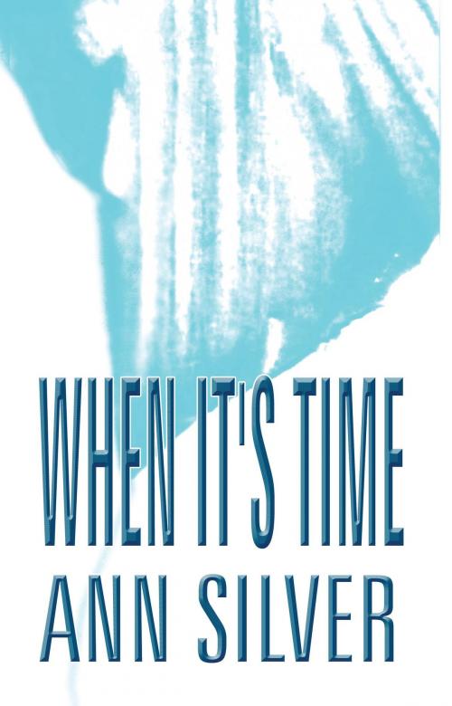 Cover of the book When It's Time by Ann Silver, BookBaby