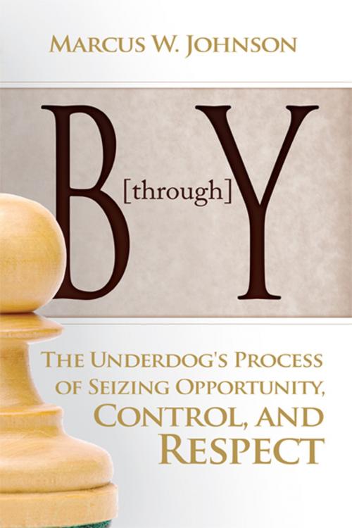 Cover of the book B through Y by Marcus W. Johnson, BookBaby