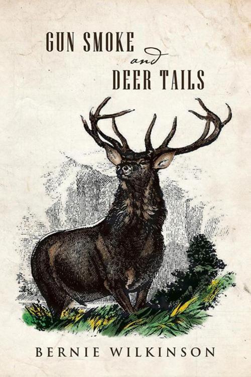 Cover of the book Gun Smoke and Deer Tails by Bernie Wilkinson, Xlibris NZ
