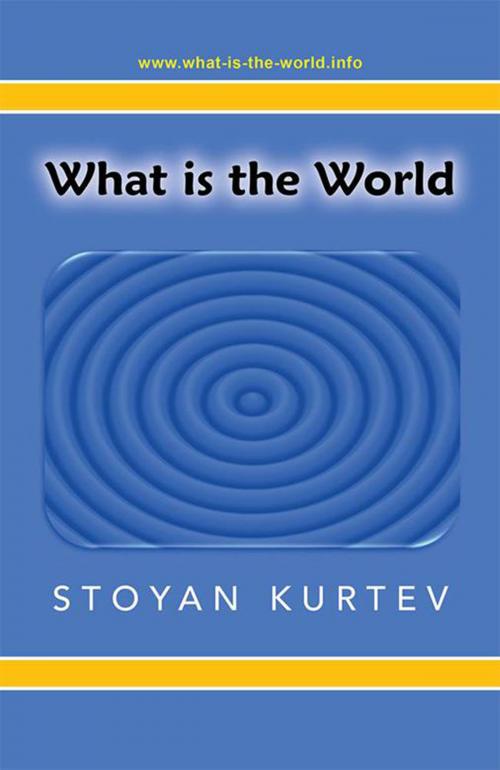 Cover of the book What Is the World by Stoyan Kurtev, Xlibris US