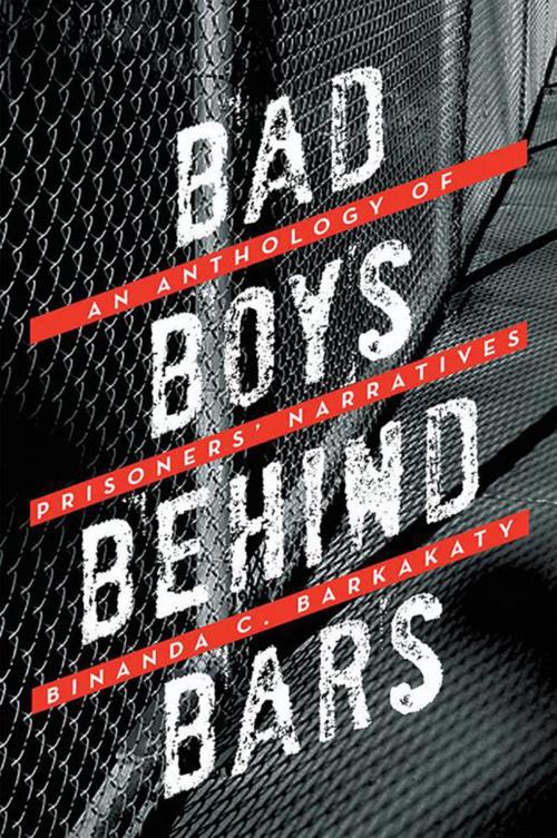 Cover of the book Bad Boys Behind Bars by Binanda C. Barkakaty, Xlibris UK