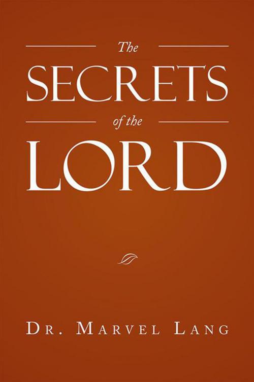 Cover of the book The Secrets of the Lord by Dr. Marvel Lang, Xlibris US