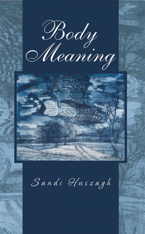 Cover of the book Body Meaning by Sandi Huszagh, iUniverse
