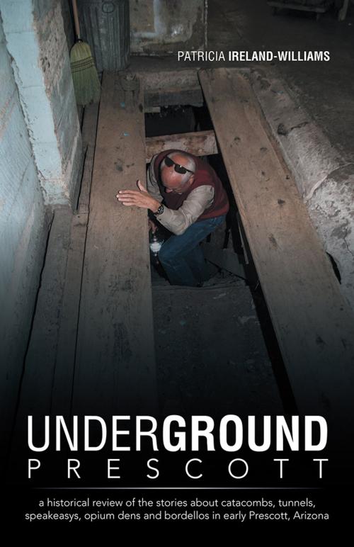 Cover of the book Underground Prescott by Patricia Ireland-Williams, iUniverse