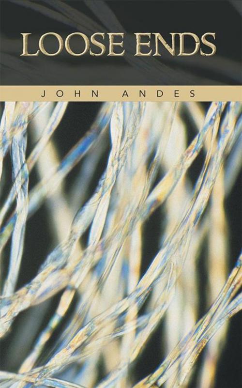 Cover of the book Loose Ends by John Andes, iUniverse