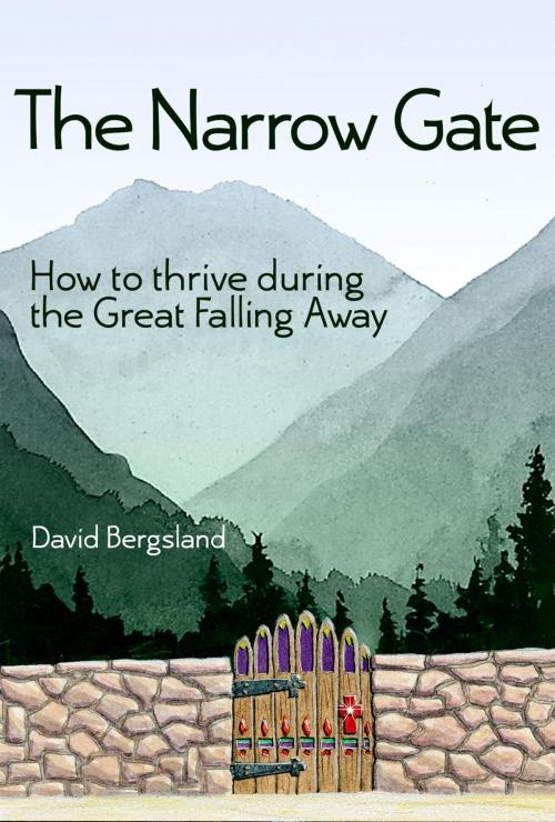 Cover of the book The Narrow Gate by David Bergsland, Radiqx Press