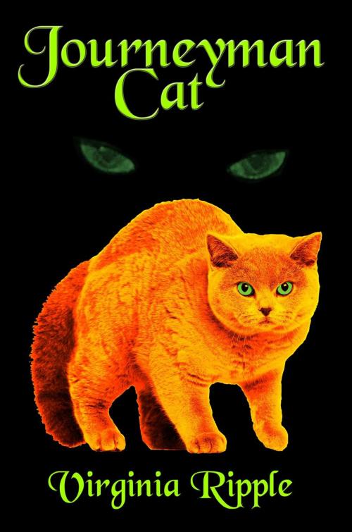 Cover of the book Journeyman Cat by Virginia Ripple, Virginia Ripple