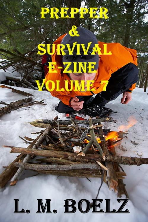 Cover of the book Prepper & Survival E-Zine 7 by L M Boelz, L M Boelz
