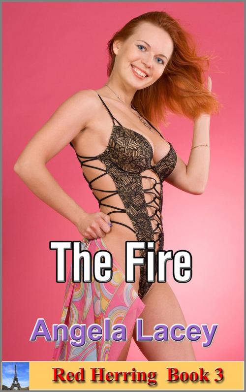 Cover of the book The Fire by Angela Lacey, Angela Lacey