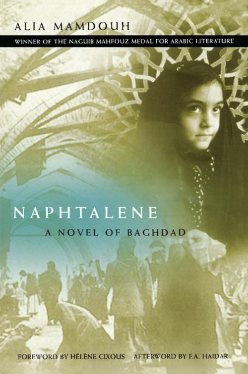 Cover of the book Naphtalene by Alia Mamdouh, F. A. Haidar, The Feminist Press at CUNY