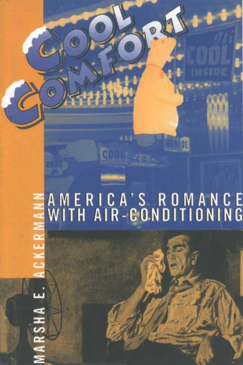 Cover of the book Cool Comfort by Marsha Ackermann, Smithsonian