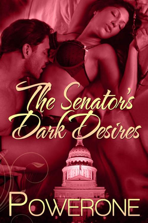 Cover of the book The Senator's Dark Desires by Powerone, Renaissance E Books