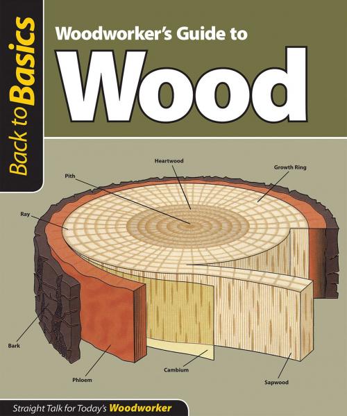 Cover of the book Woodworker's Guide to Wood (Back to Basics): Straight Talk for Today's Woodworker by Skills Institute Press Skills Institute Press, Biblio Publishing Services