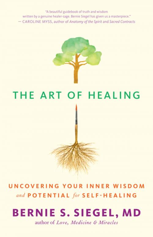 Cover of the book The Art of Healing by Bernie S. Siegel, New World Library