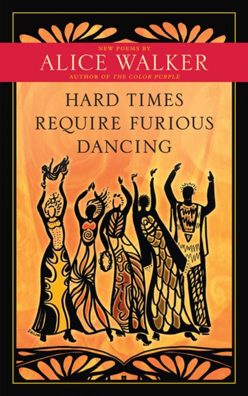 Cover of the book Hard Times Require Furious Dancing by Alice Walker, New World Library