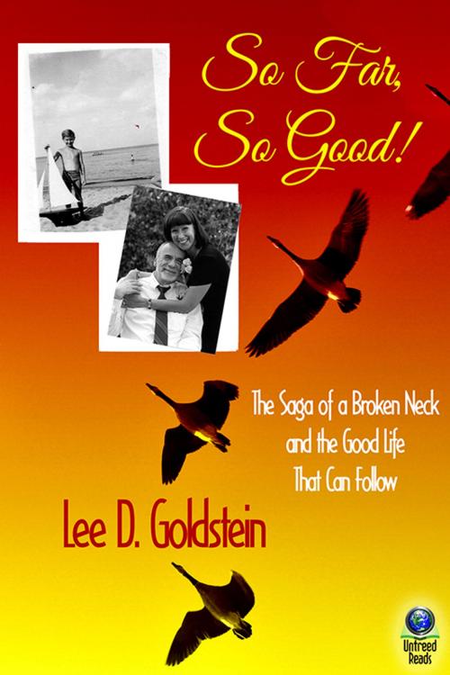 Cover of the book So Far, So Good by Lee D. Goldstein, Untreed Reads