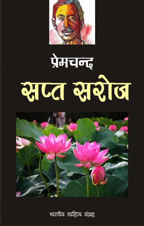 Cover of the book Sapt Saroj (Hindi Stories) by Munshi Premchand, मुंशी प्रेमचन्द, Bhartiya Sahitya Inc.