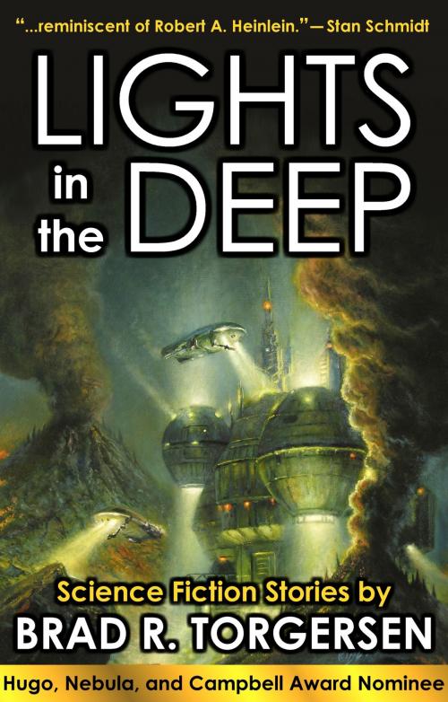 Cover of the book Lights in the Deep by Brad R. Torgersen, WordFire Press