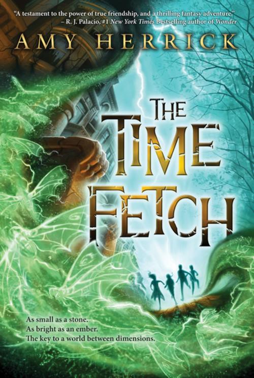 Cover of the book The Time Fetch by Amy Herrick, Algonquin Books