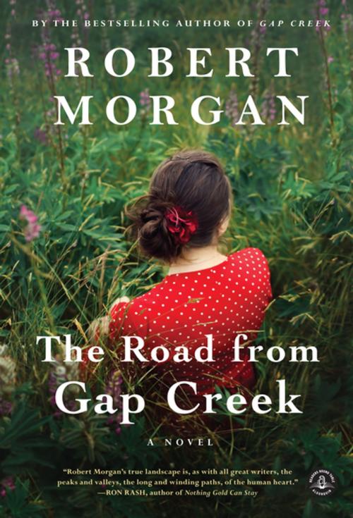 Cover of the book The Road from Gap Creek by Robert Morgan, Algonquin Books