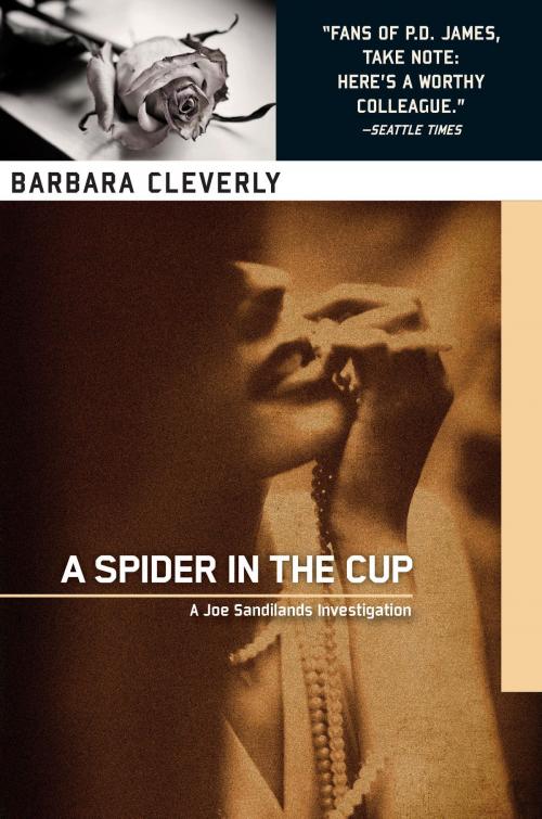 Cover of the book A Spider in the Cup by Barbara Cleverly, Soho Press