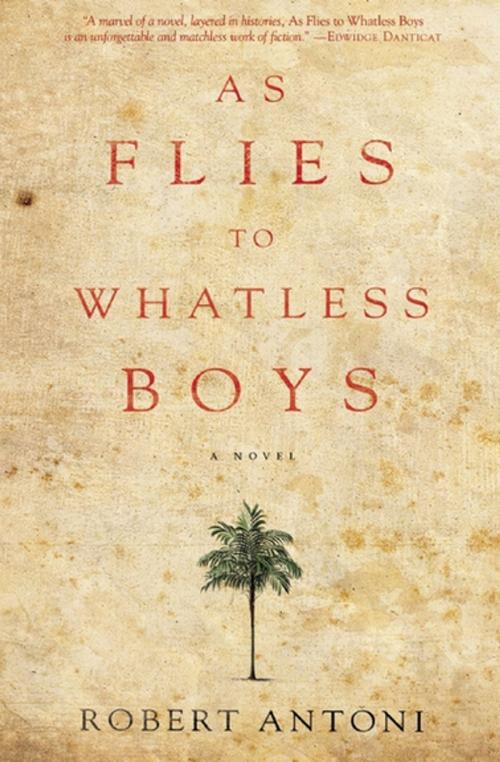 Cover of the book As Flies to Whatless Boys by Robert Antoni, Akashic Books (Ignition)
