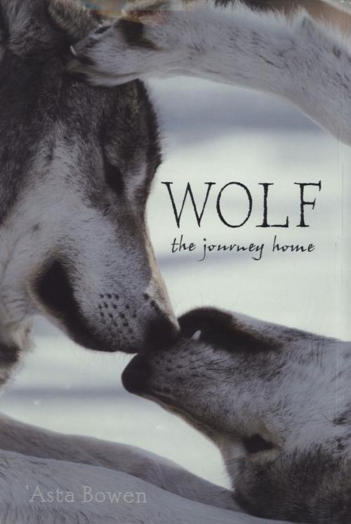 Cover of the book Wolf by 'Asta Bowen, Bloomsbury Publishing