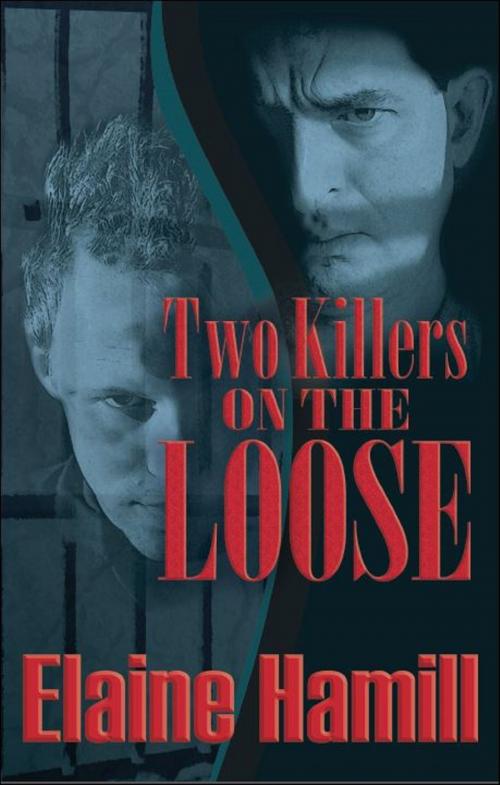 Cover of the book Two Killers on the Loose by Elaine Hamill, Brighton Publishing LLC