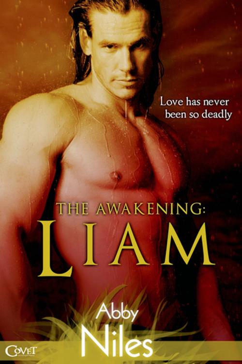 Cover of the book The Awakening: Liam by Abby Niles, Entangled Publishing, LLC