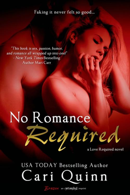 Cover of the book No Romance Required by Cari Quinn, Entangled Publishing, LLC